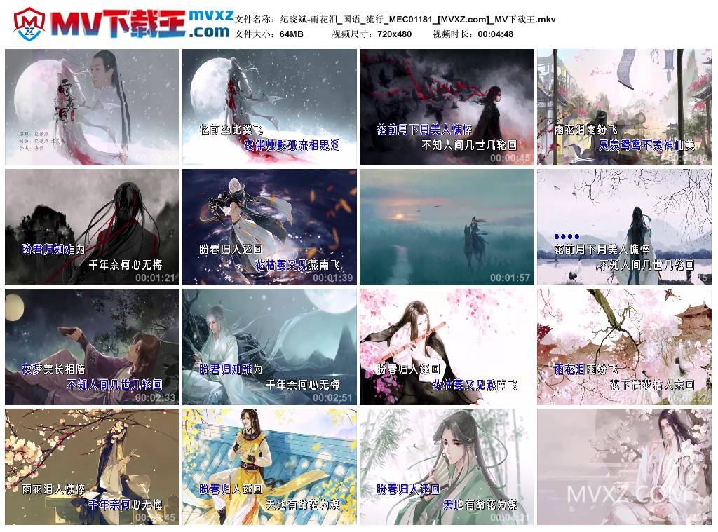 纪晓斌-雨花泪_国语_流行_MEC01181